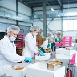 Confectionery factory employees putting pastry into boxes